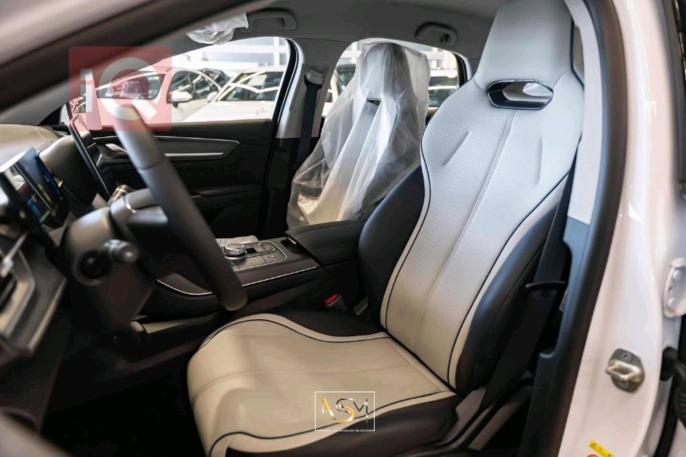 بی وای دی دیسترۆیەر 05